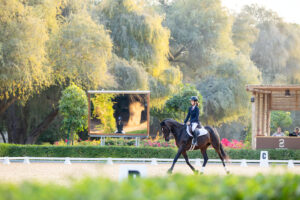 الإسطبلات الأميرية في أبوظبي The Royal Stables Dressage Arena