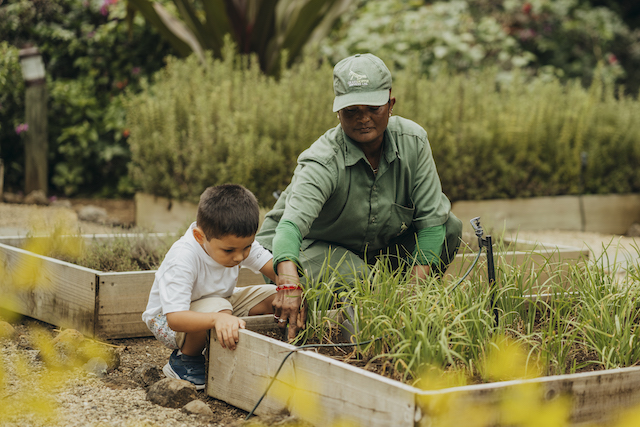 كونستانس برينس موريس
Constance Prince Maurice