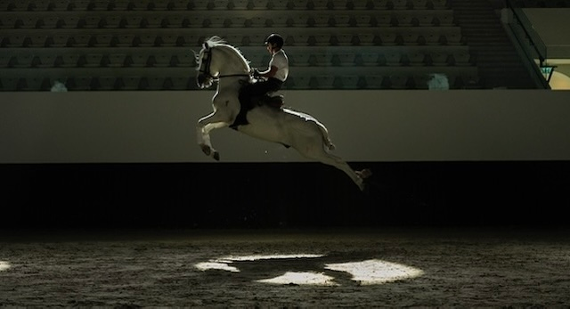 افتتاح مدرسة "أبوظبي للفنون الفروسية الأميرية" في نوفمبر المقبل