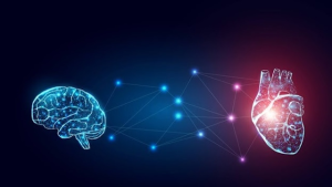 تعبيرية - من المصدر